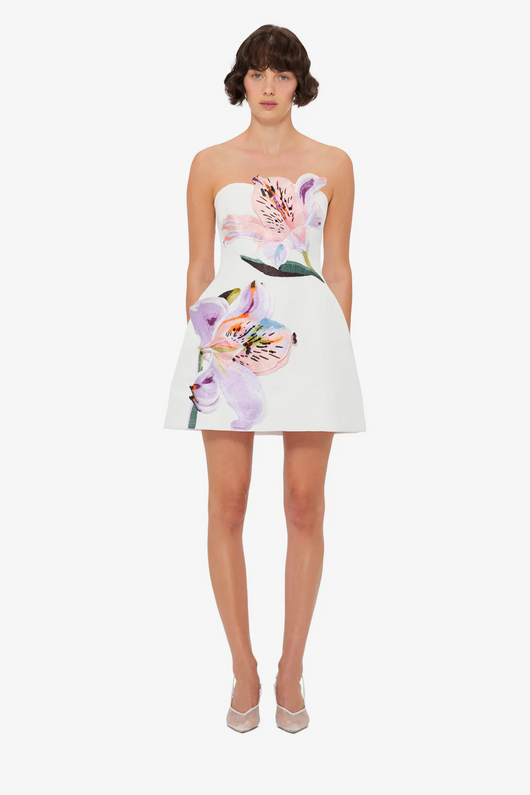 Gracy Floral Mini Dres